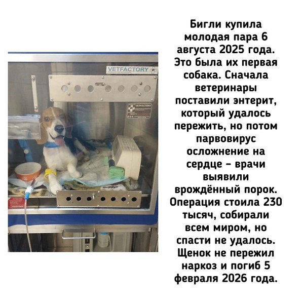 �� - ������������ ������ ������������ �� �������� ��������� (��������) �� ������ ����� (���������� ... - 5