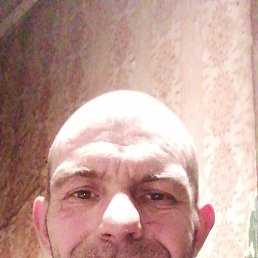 , 41, 