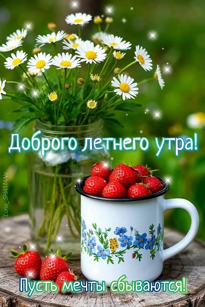 ����������� � ���������, �������� �� ������ ����. - 28 ���� 2026 � 17:21 - 4