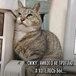 ���� W���, ������ - ��������� 16 ������� 2026