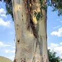 ���� �����, ������, 58 ��� - ��������� 13 ������� 2023