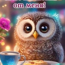 �����, �����-���������, 57 ���