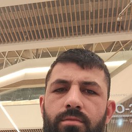 , 29, 