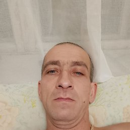 , 40, 