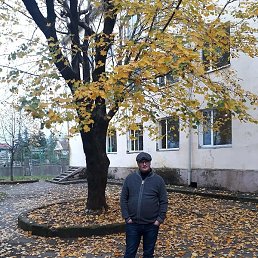 ����, ������, 44 ����