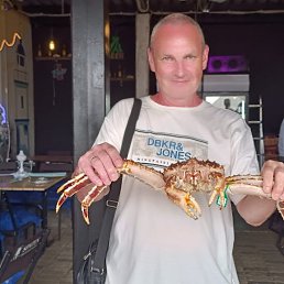 ���� �����, �����������, 56 ��� - ��������� 12 ����� 2026