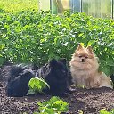 ���� �������, ��������, 60 ��� - ��������� 8 ������� 2026 � ������ ���� ����������