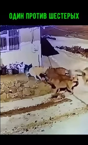 ���� � ���� ����! - 2