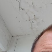 , 56 , 