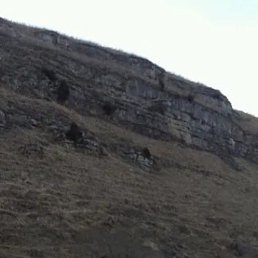 �������, ����������, 39 ���