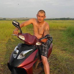 ����, 39 ���, �������