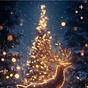 ���� �������, ��������� - ��������� 13 ������ 2025 � ������ ������ ��������