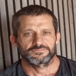 �����, ���������, 40 ���