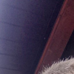 ����, ������������, 35 ���