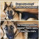 ���� ����, ����������, 58 ��� - ��������� 16 ������� 2025 � ������ ���� ����������