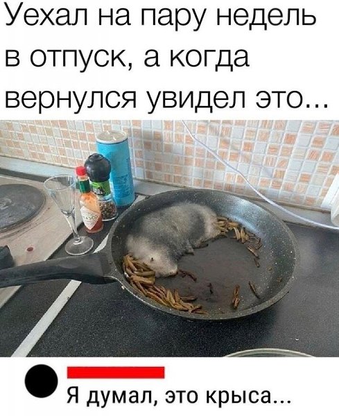  - 19  2023  11:22