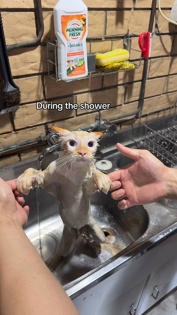 �� � ����� - 4