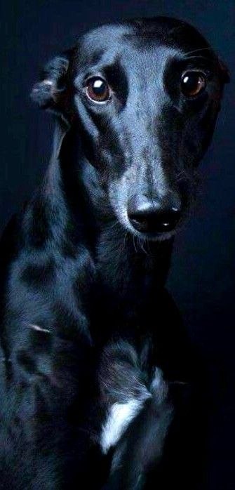 ������. ������! ��� ��� ����� ��� � �������; ���� ����� ������, �������� ����. ��� ���� ��� �� ...