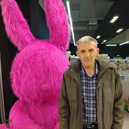 , 53, 