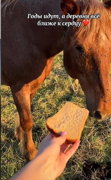 ���� ����, � ������� ��� ����� � ������ - 2