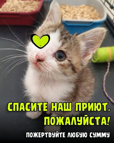 �� � ��������. �������� ���! ��������� ��������, ��������� � �������� �������� ���� � ��� ���������� ...