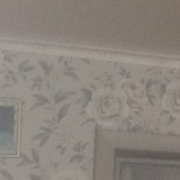 �������, �����, 46 ���