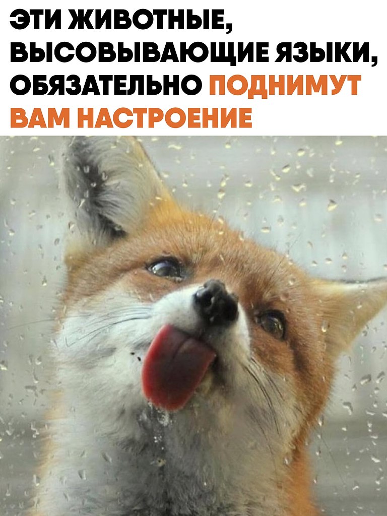 ��������� ���� � �������� � ��� �� ������ ����� ����, � ����� ������� ������� ��������� � �������. � ...