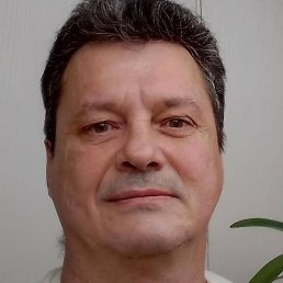 ���������, �������, 56 ���