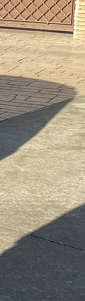 ��������, �����