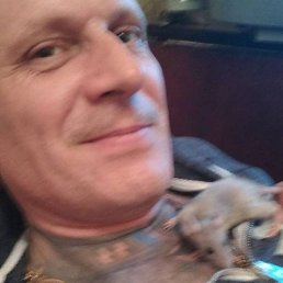 Vasia, ������, 52 ����