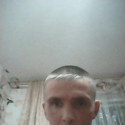 �������, 41 ���, �������