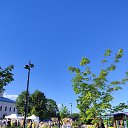 ���� �������, ������ - ��������� 21 ���� 2026 � ������ ������ ��������