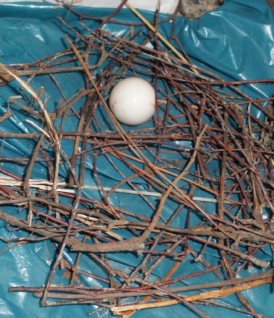 ����� ���� ����� �������� ������ ���������� �������� ������������ � ���������� �������� ... - 5