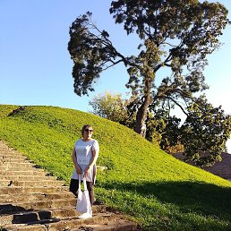 �����, ��������