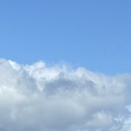 ����, ����������, 50 ���