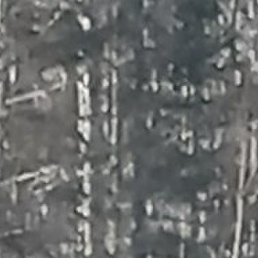 ������, �����, 49 ���