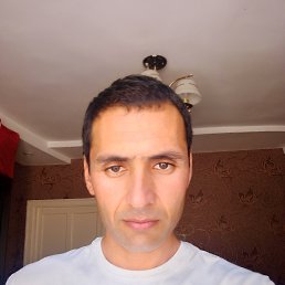 , 33, 
