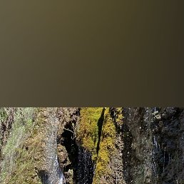 , 49 , 