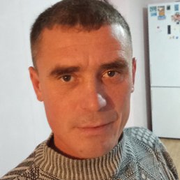 �������, ������, 41 ���