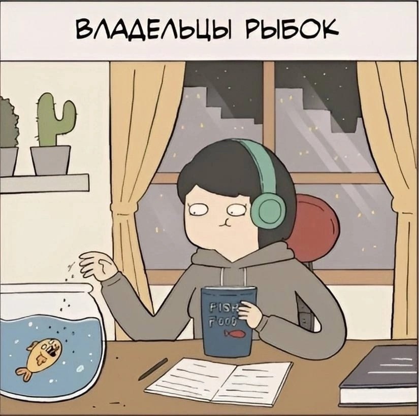  - 9  2025  11:34