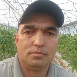 ����, ������, 43 ����