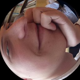 ������, �����, 24 ����