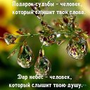 ���� ������, ��������� - ��������� 2 ������ 2026 � ������ ������ ��������