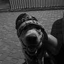 ���� ���������, ������, 26 ��� - ��������� 8 ������� 2025 � ������ ������ ��������