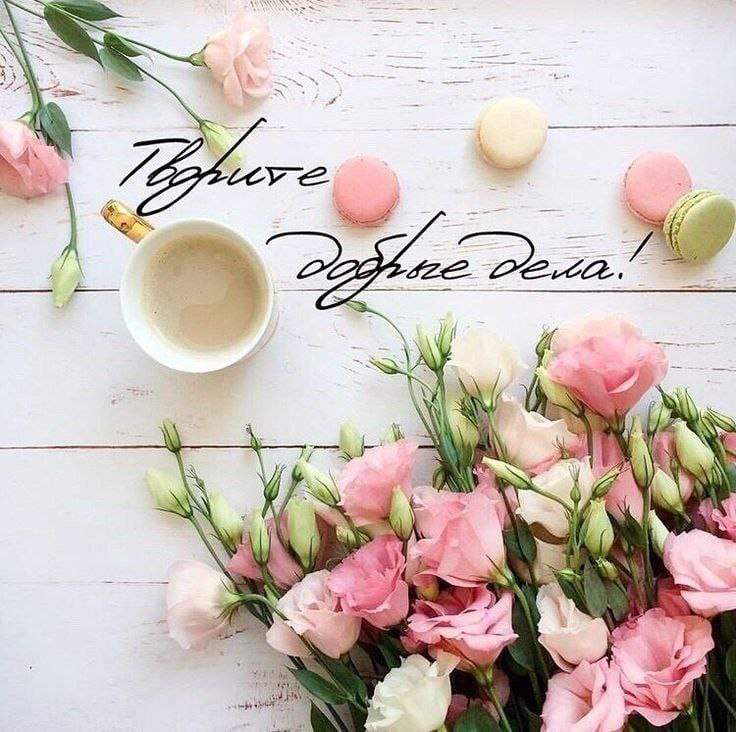   ,    . - 19  2025  18:02 - 2