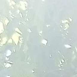 ��������, �����, 37 ���