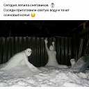 ���� ������, ���������, 49 ��� - ��������� 30 ����� 2024 � ������ ������ ��������
