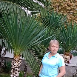 ���� �����, ���������, 64 ���� - ��������� 18 ������� 2024