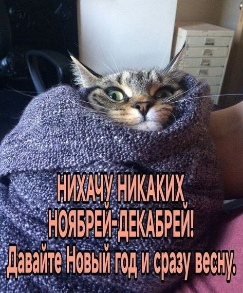   - 15  2025  16:37