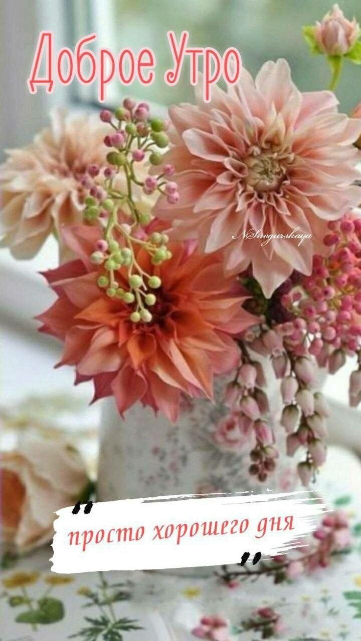 ***Victoria Viktorovna*** - 7  2025  00:24 - 2